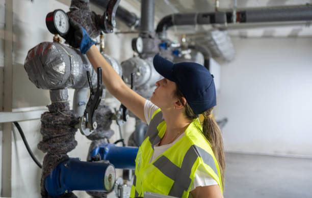 Best Same-Day Plumbing Service  in Jonesboro, IL