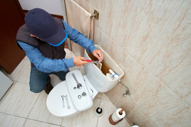 Best Toilet Repair Services  in Jonesboro, IL